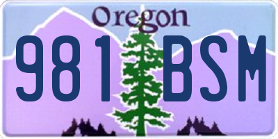OR license plate 981BSM