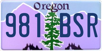 OR license plate 981BSR