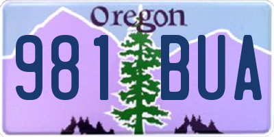 OR license plate 981BUA