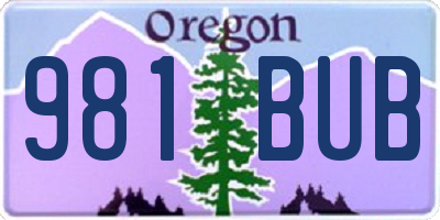 OR license plate 981BUB