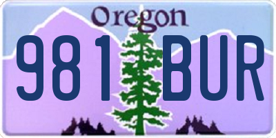 OR license plate 981BUR