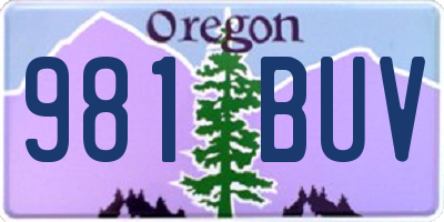 OR license plate 981BUV