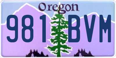 OR license plate 981BVM