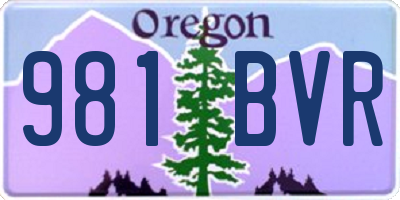 OR license plate 981BVR