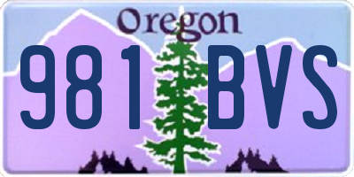 OR license plate 981BVS