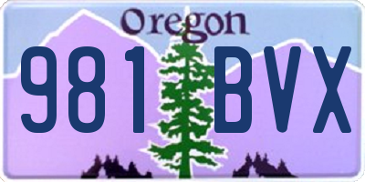 OR license plate 981BVX
