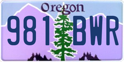 OR license plate 981BWR