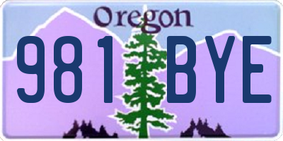 OR license plate 981BYE