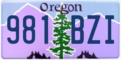OR license plate 981BZI