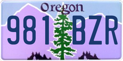 OR license plate 981BZR