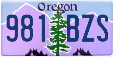 OR license plate 981BZS
