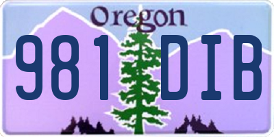 OR license plate 981DIB