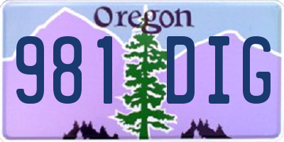 OR license plate 981DIG