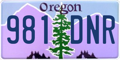 OR license plate 981DNR