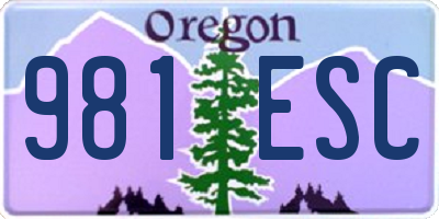 OR license plate 981ESC