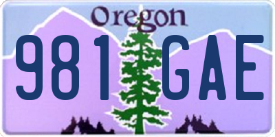 OR license plate 981GAE