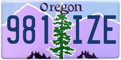 OR license plate 981IZE