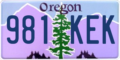OR license plate 981KEK
