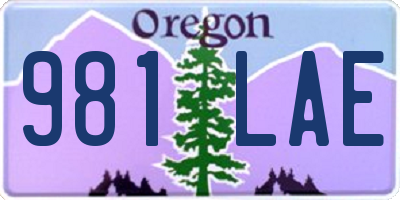 OR license plate 981LAE