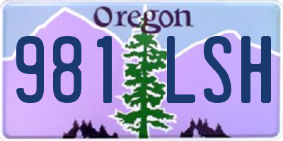 OR license plate 981LSH