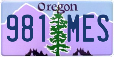 OR license plate 981MES