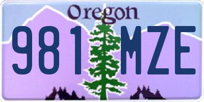 OR license plate 981MZE