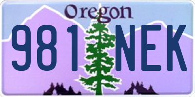 OR license plate 981NEK