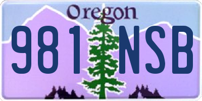 OR license plate 981NSB