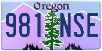 OR license plate 981NSE