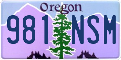 OR license plate 981NSM