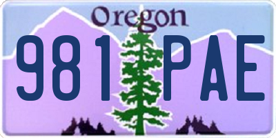 OR license plate 981PAE