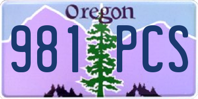 OR license plate 981PCS