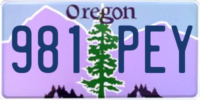 OR license plate 981PEY