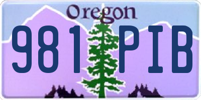 OR license plate 981PIB