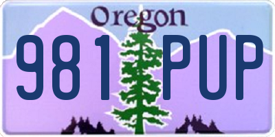 OR license plate 981PUP