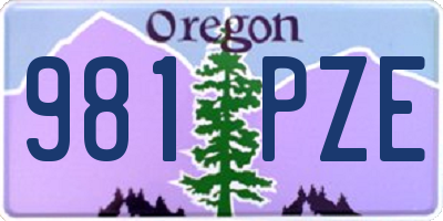 OR license plate 981PZE