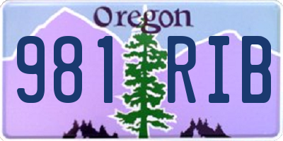 OR license plate 981RIB