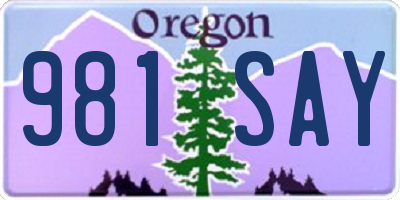 OR license plate 981SAY