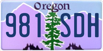 OR license plate 981SDH