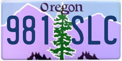 OR license plate 981SLC