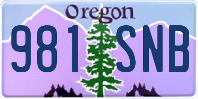 OR license plate 981SNB
