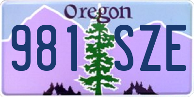 OR license plate 981SZE