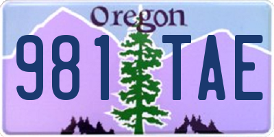 OR license plate 981TAE