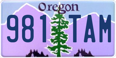 OR license plate 981TAM