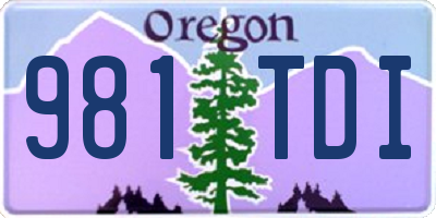 OR license plate 981TDI