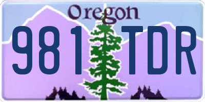 OR license plate 981TDR