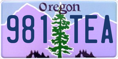 OR license plate 981TEA