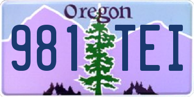 OR license plate 981TEI