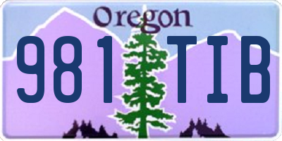 OR license plate 981TIB