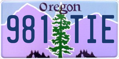 OR license plate 981TIE